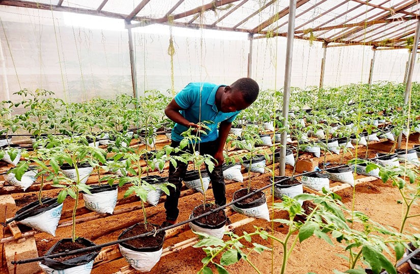 Inoussa Diallo AGRISOL FASO